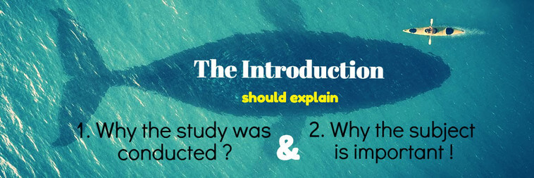 Drafting Papers: The Introduction 3